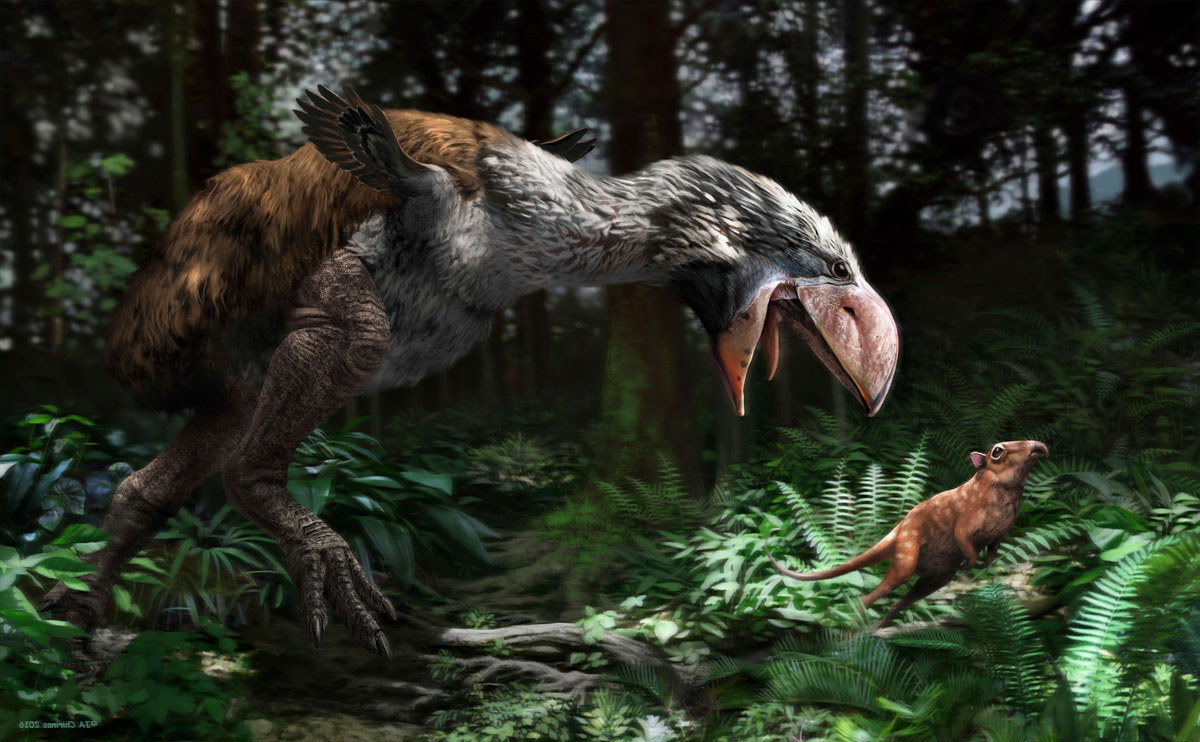 Gastornis gigantea  © Jaime Chirinos / SPL