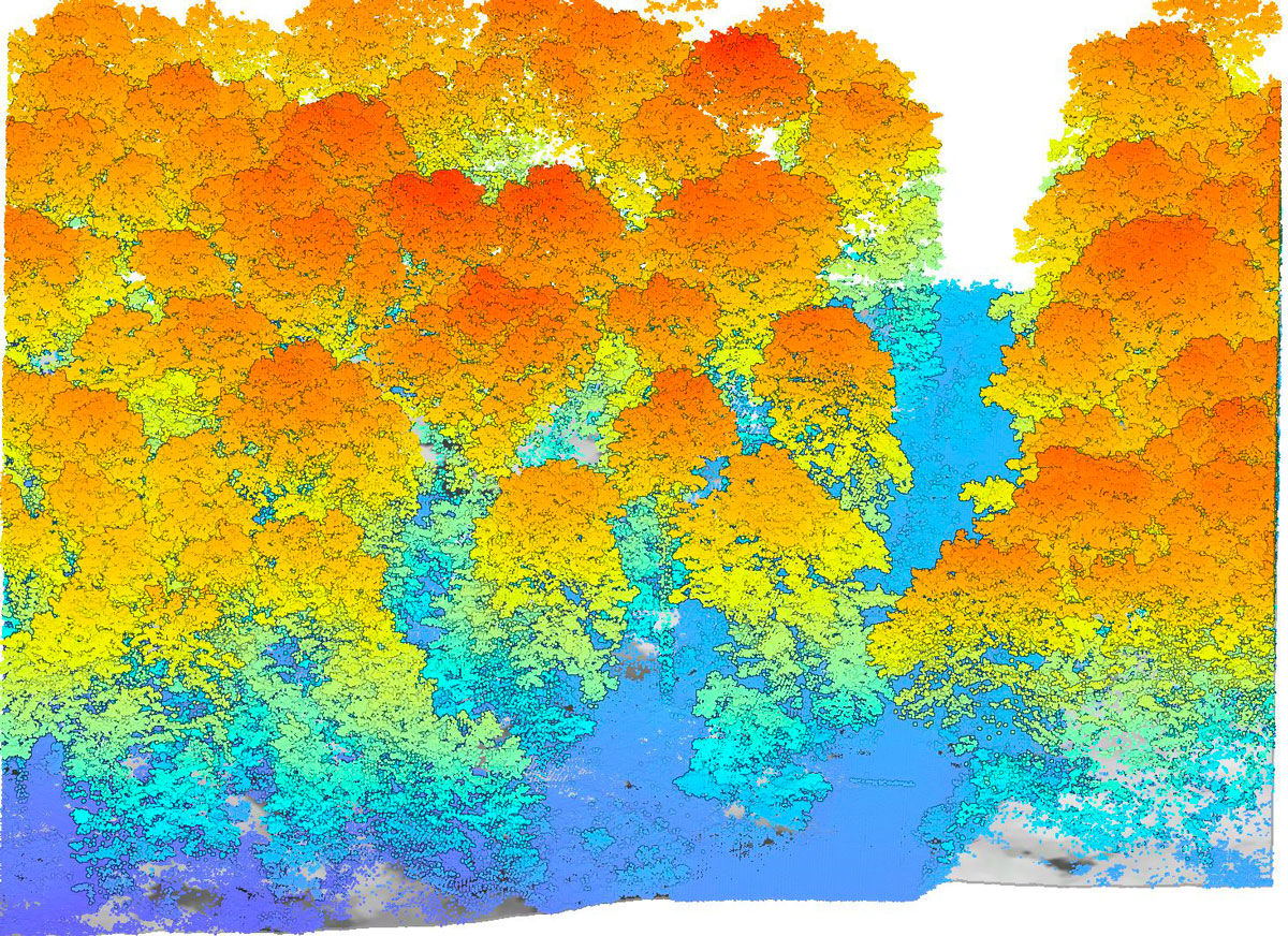 Image Lidar par Émilie Gallet-Moron (Edysan) et société Altoa