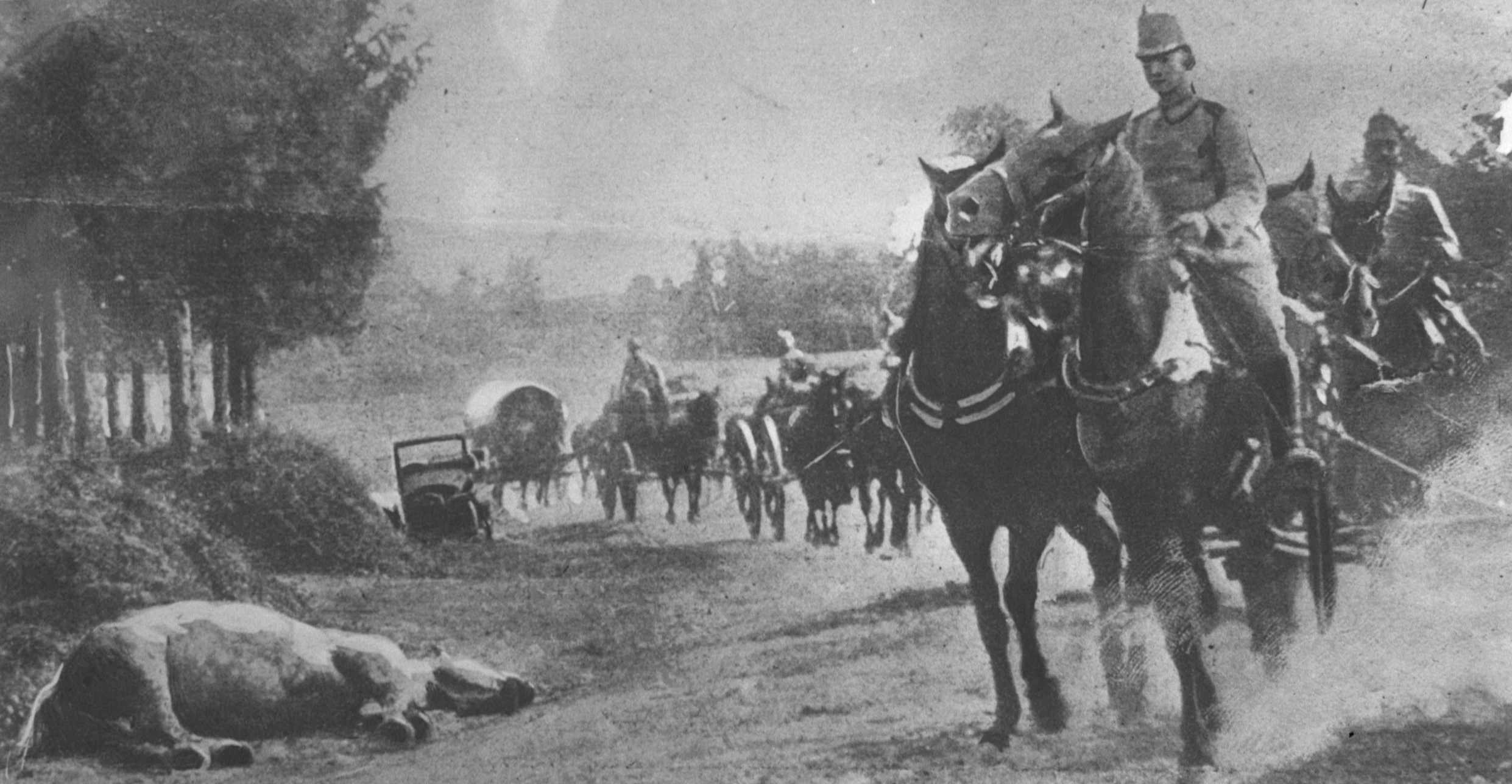 Chevaux et cavaliers autrichiens évitant un cadavre équin en 1914.