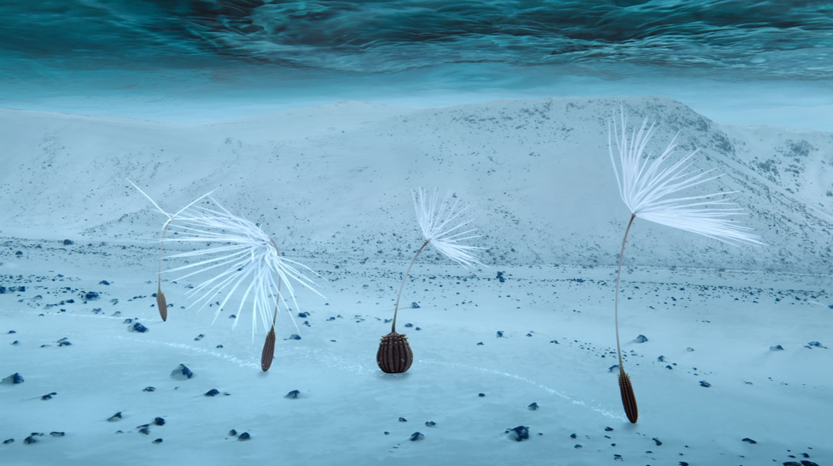 extrait de Planètes, 2025 © Momoko Seto