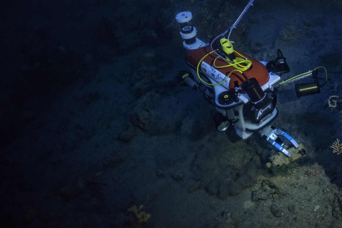 Robot explorant une épave sous-marine