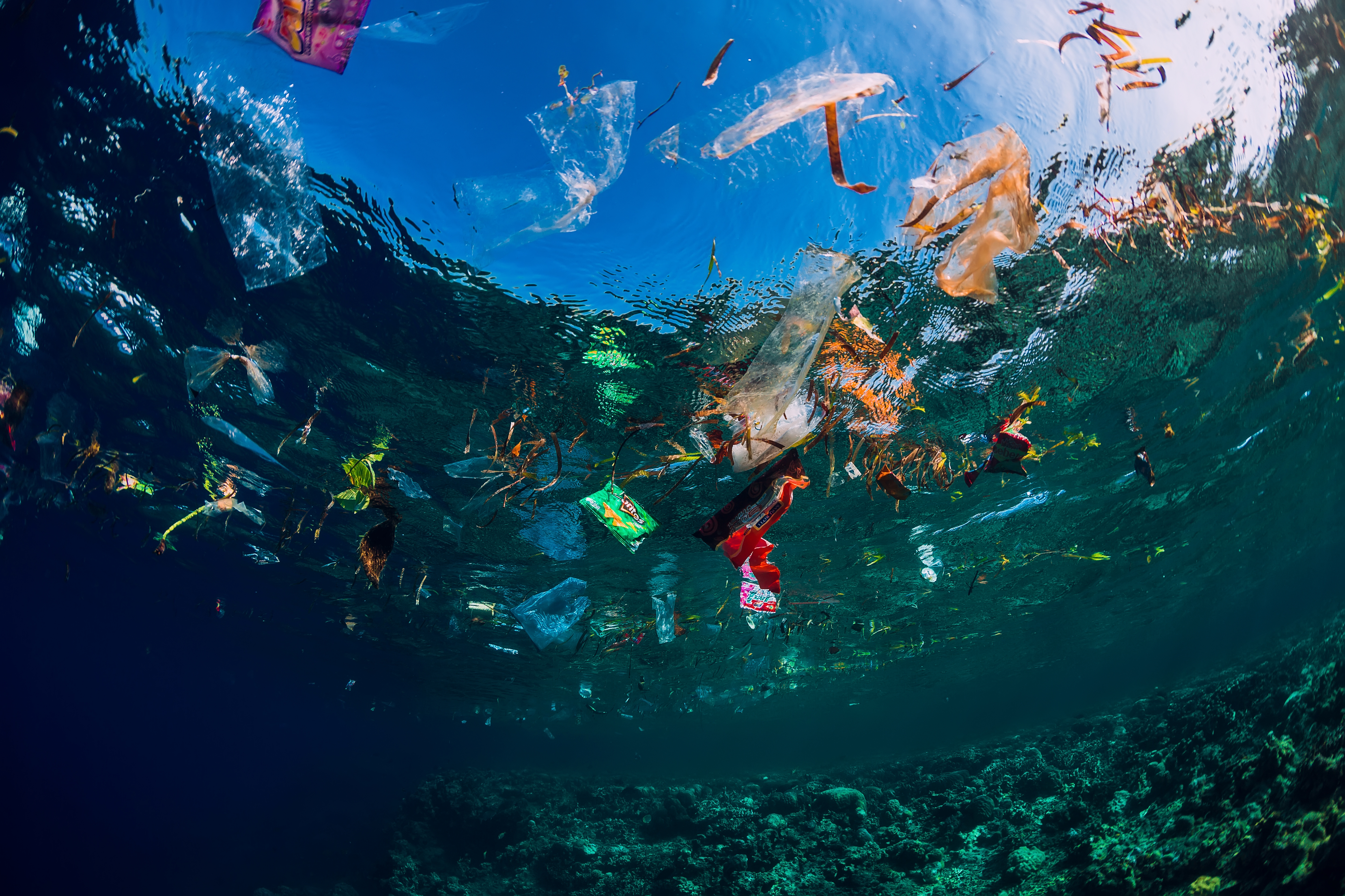 Photo de déchets plastiques au sein de l'océan