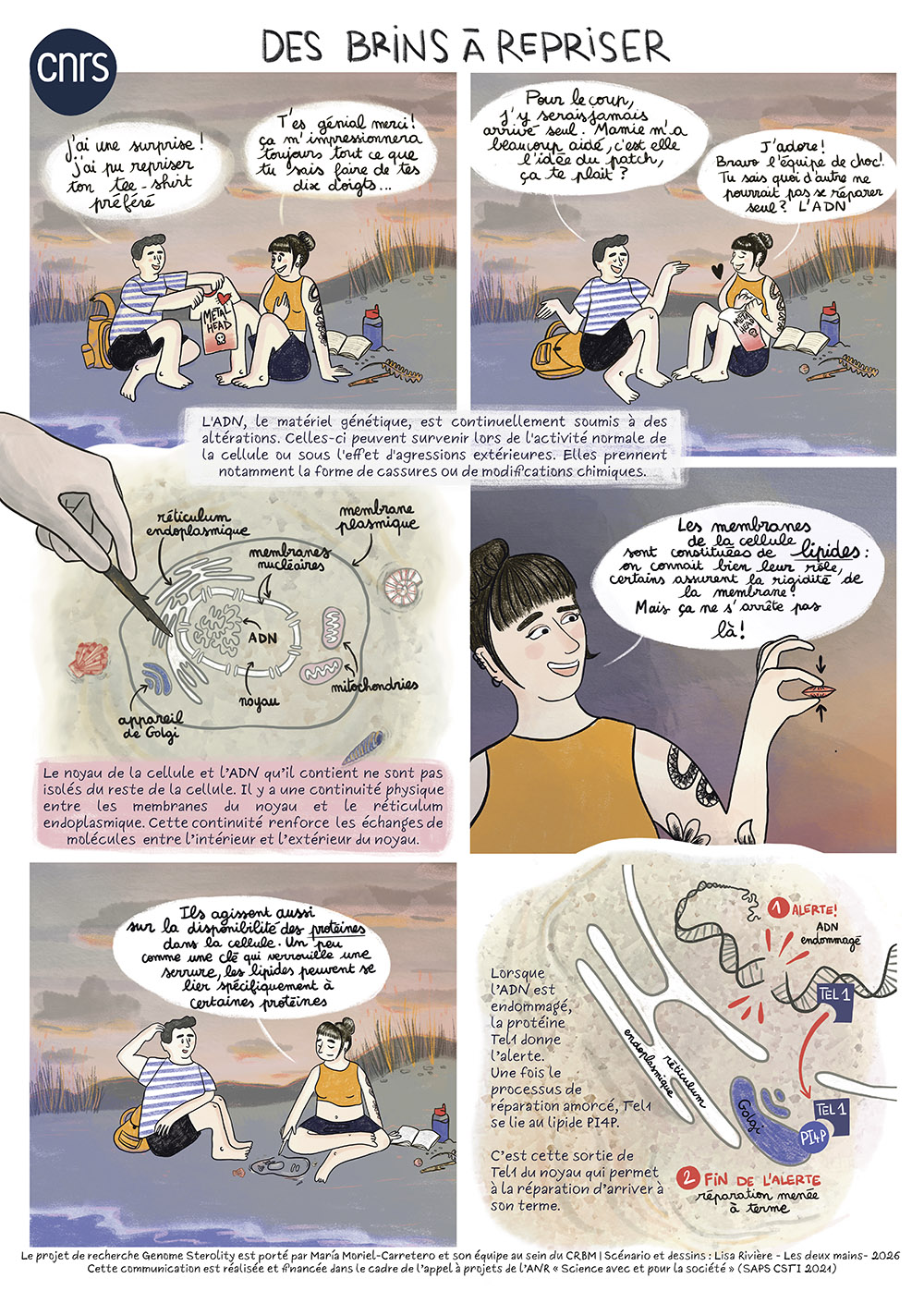 Planche illustrée du projet GENOME STEROLITY © Lisa Rivière, Les deux mains Planche illustrée du projet GENOME STEROLITY © Lisa Rivière, Les deux mains