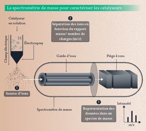 La spectrométrie de masse pour caractériser les catalyseurs / © Émilie Josse