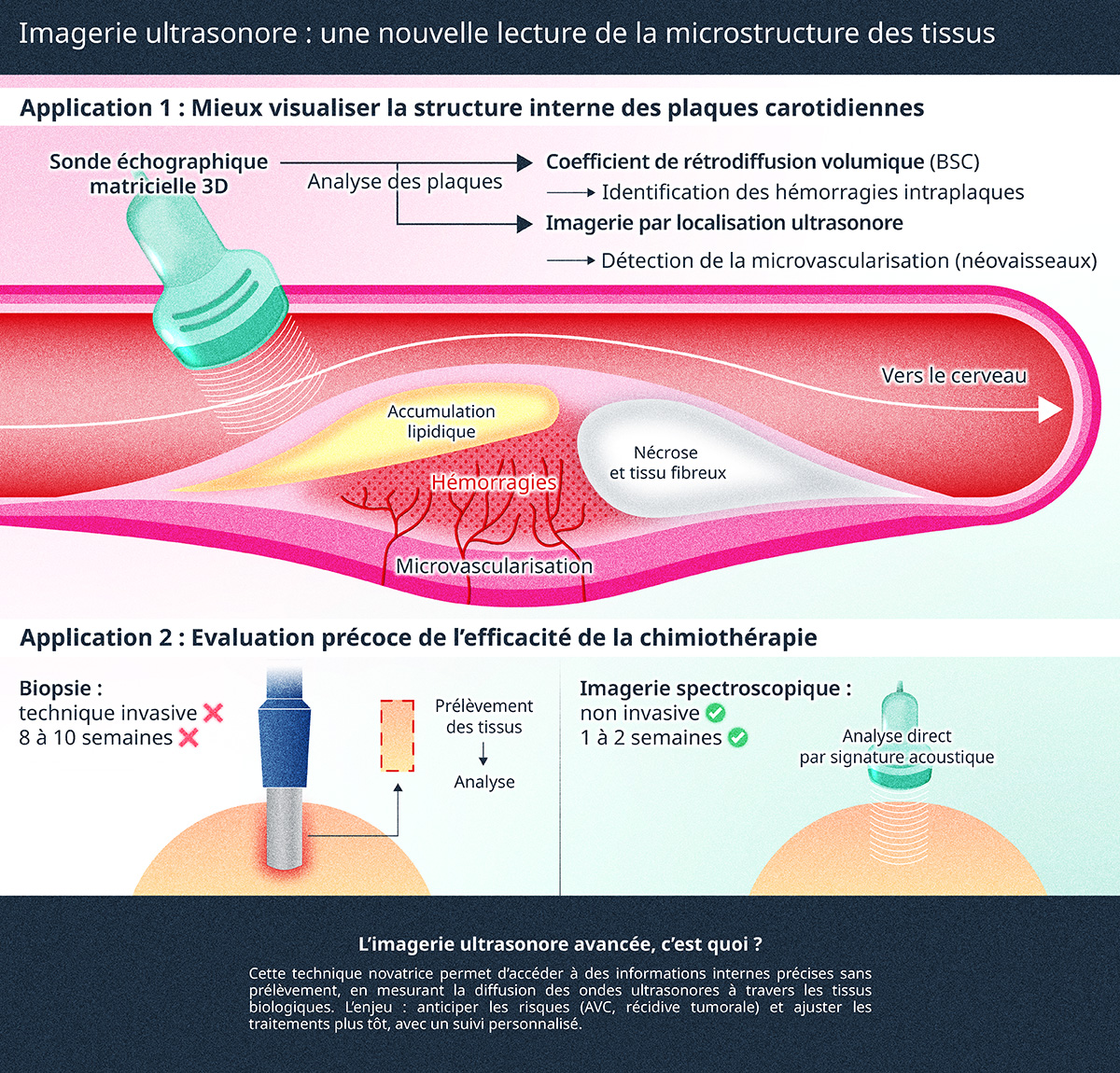  une nouvelle lecture de la microstructure des tissus © Emilie Josse