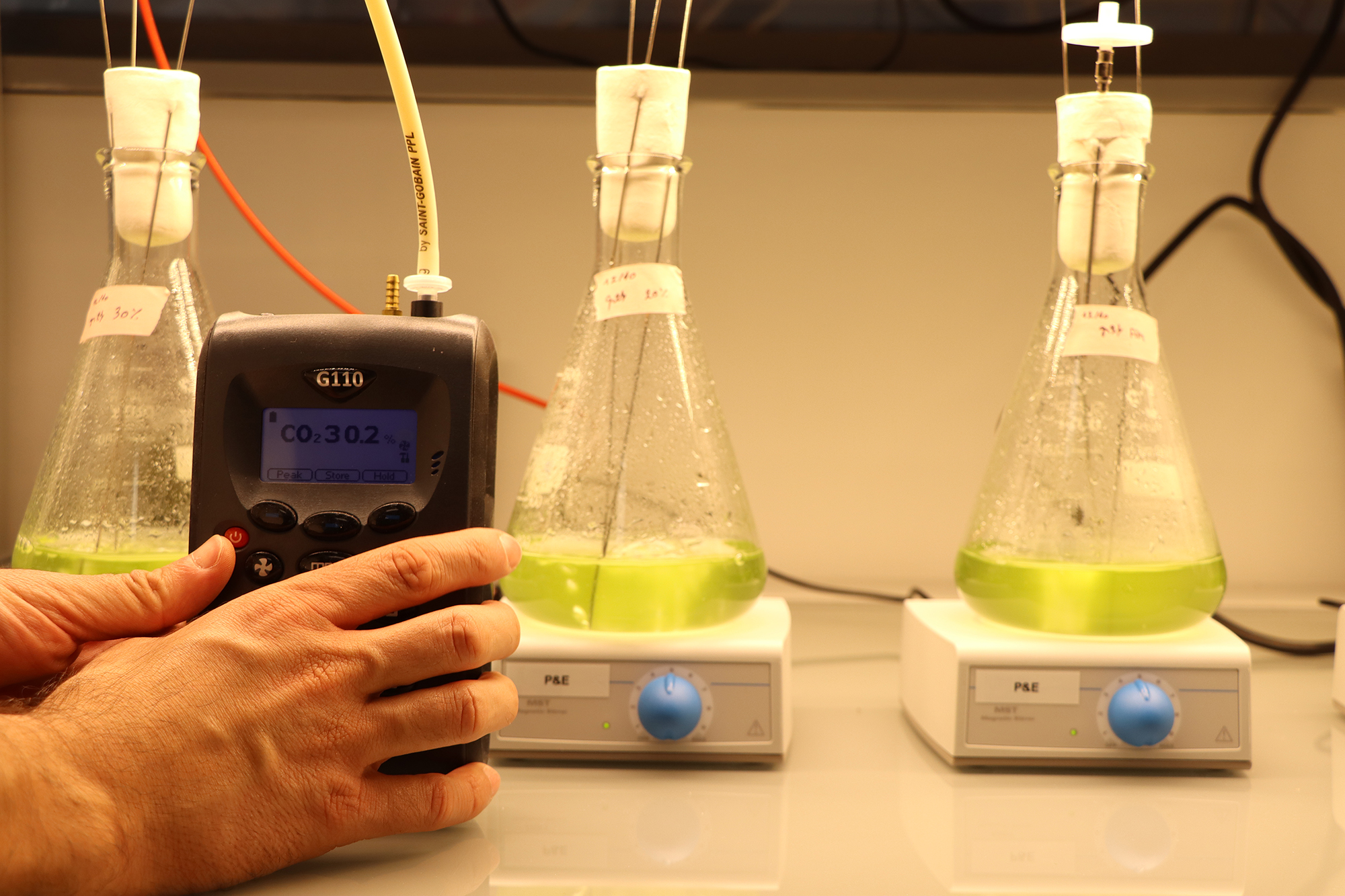 Caractérisation de la réponse photosynthétique des micralgues soumises à de hautes concentrations de CO2 © BIAM/CEA