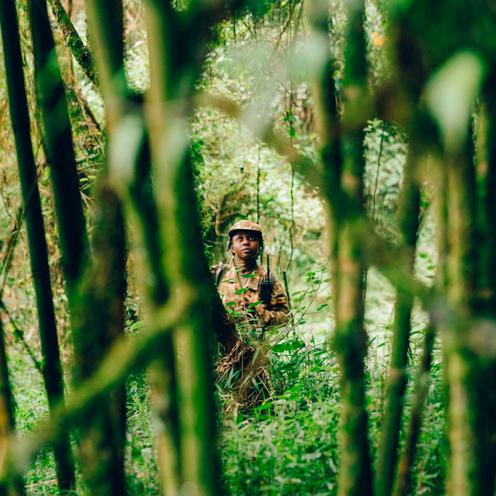 Un militaire dans le parc national de la forêt impénétrable de Bwindi, en Ouganda
