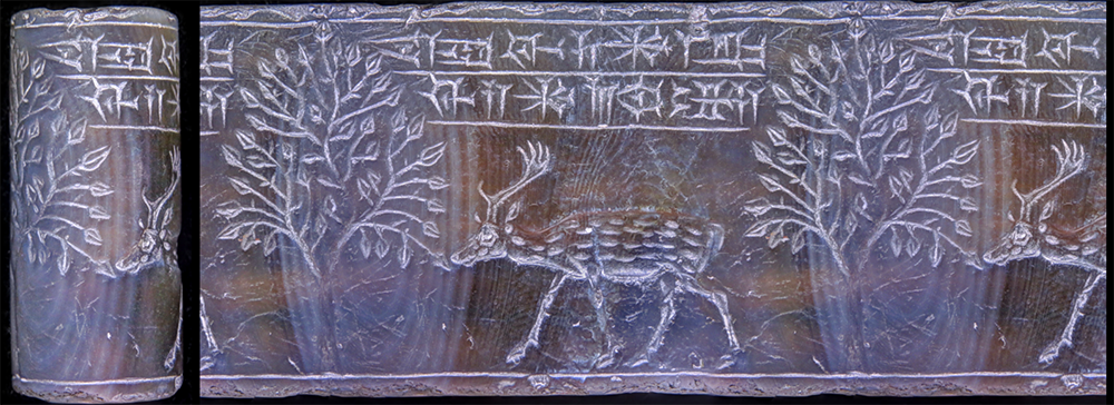 Déroulé numérique d’un sceau-cylindre présentant un cervidé, Mésopotamie du Nord (seconde moitié du IIe millénaire). 