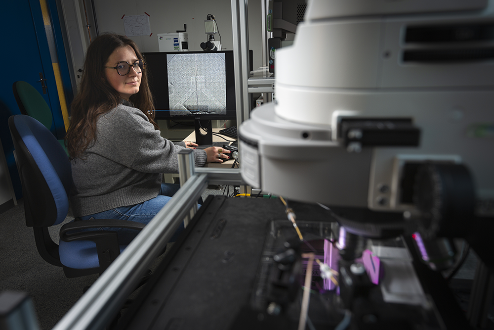 Observation et manipulation de skyrmions magnétiques par microscopie à effet Kerr magnéto-optique