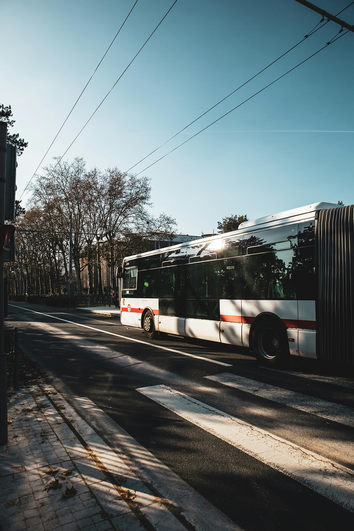 Visuel bus Tcl