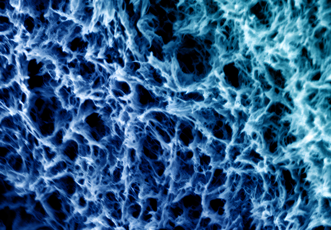 Structure poreuse fibrillaire observée au microscope électronique à balayage (image colorisée) – © Laure Biniek et Alain Carvalho, PLAMICS, ICS, CNRS