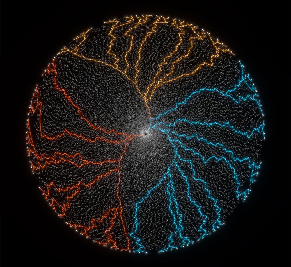 Les chemins du présent © Alex Andrix / Damien De Vienne / LBBE / CNRS Images