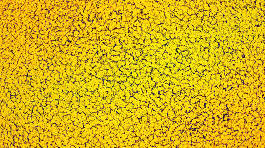 aplat jaune avec des traits noirs