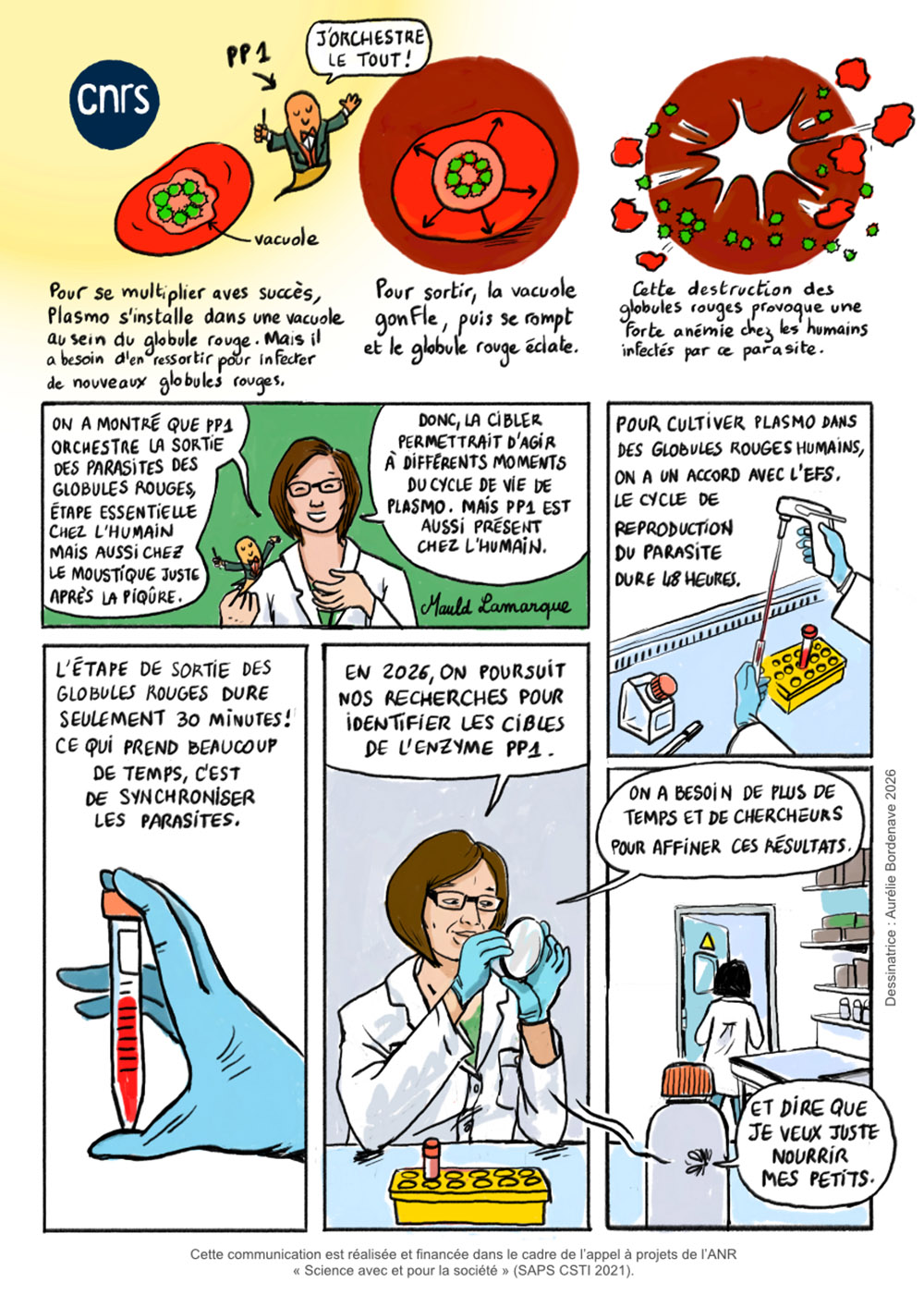 Planche illustrée du projet PALP1 ©Aurélie Bordenave