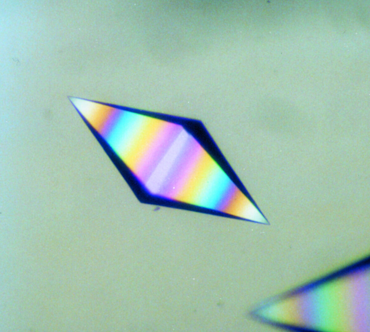 Cristallisation d'une protéine en microgravité © Bernard LORBER/Claude SAUTER/IBMC/CNRS Images