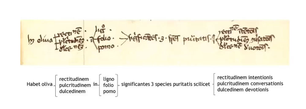  Schéma représentant la structure d'une distinction, dessiné dans la marge d'un manuscrit comme aide-mémoire. Assisi, Sacro convento, ms 501, f. 23v, marge inférieure