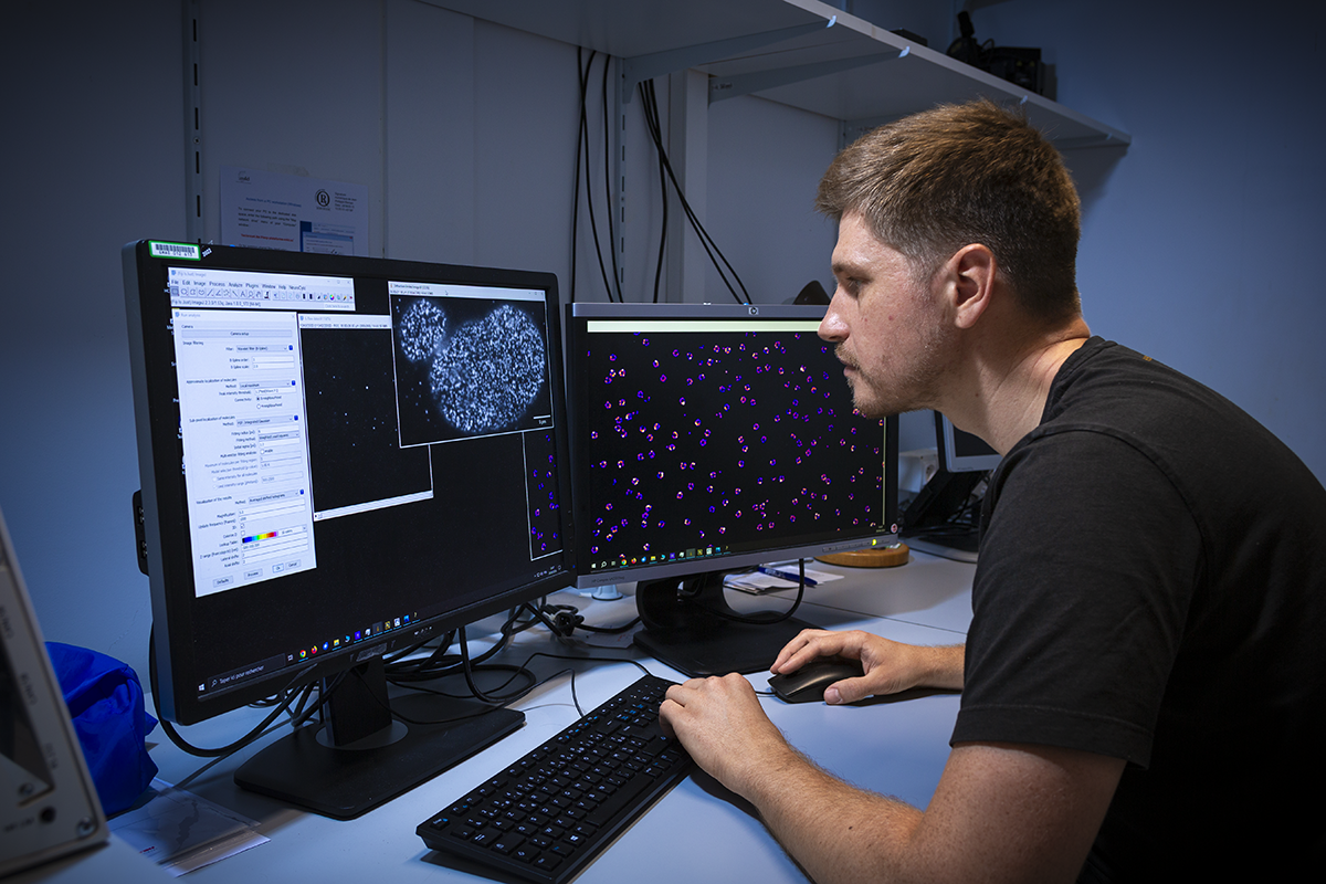 Étude de protéines fluorescentes par microscopie à l'échelle de la molécule unique - Christian MOREL / IBS / CNRS Images