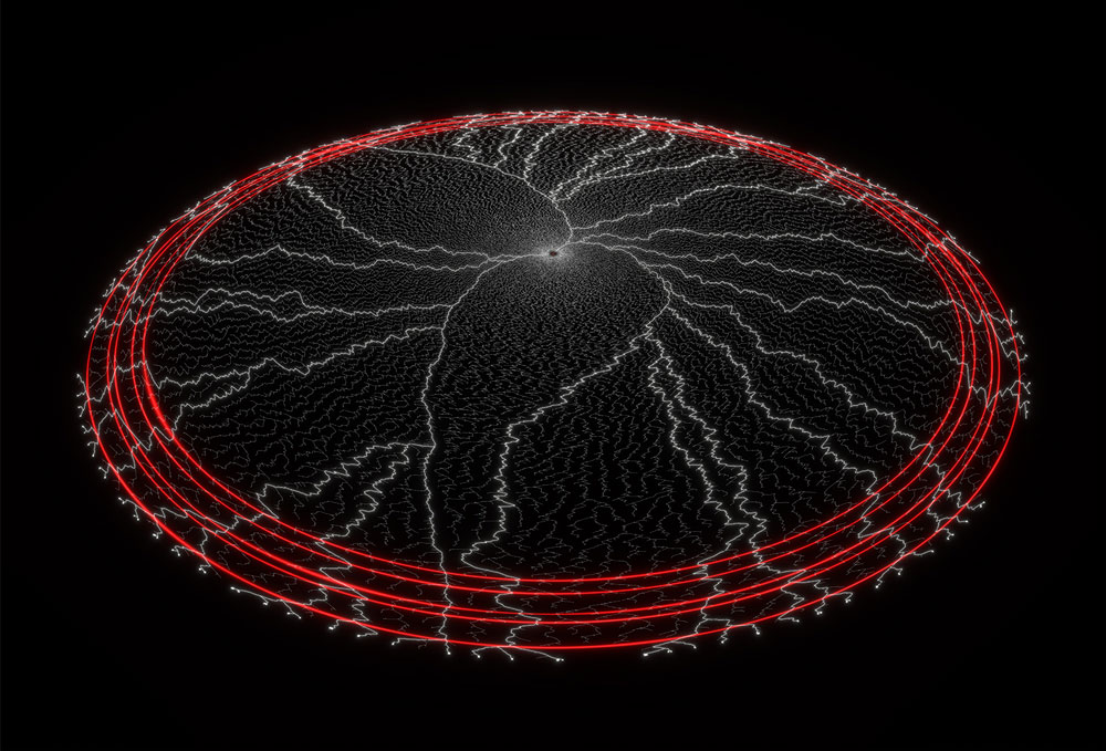 Le feu du temps long © Alex Andrix / Damien De Vienne / LBBE / CNRS Images