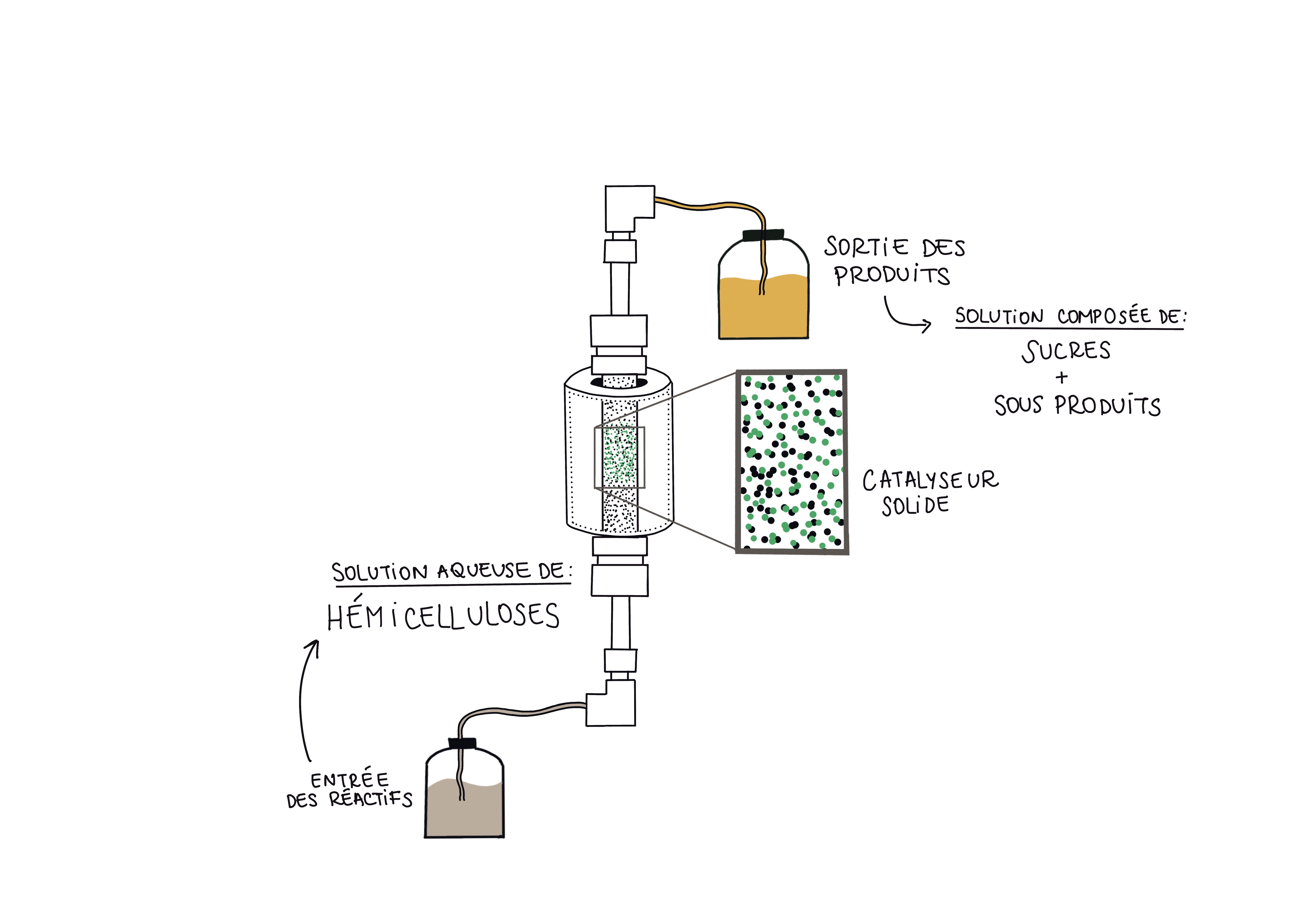 Schéma du réacteur utilisé dans le cadre du projet CHICHE. Dans ce procédé, les hémicelluloses sont dépolymérisées en sucres simples sur un catalyseur acide.  ©Victoria Freitas