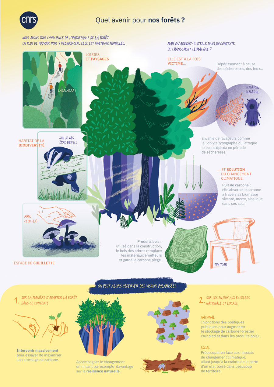 Planche illustrée du projet FISSA © Juliette Bedouet