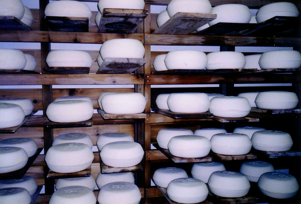 Des fromages © Heather Paxson