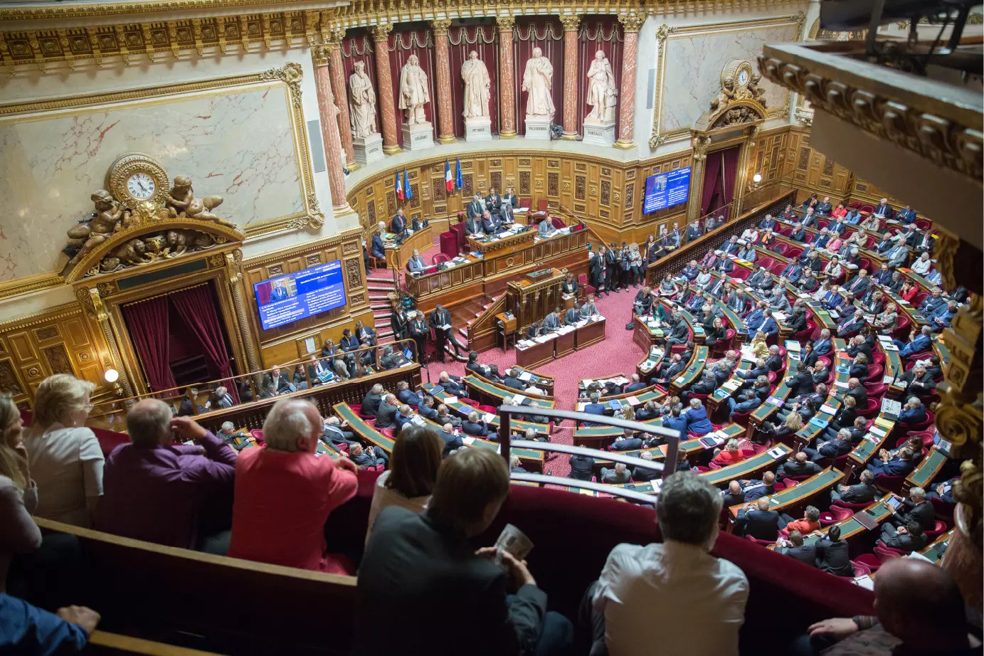 Hémicycle, photo Sénat © Sénat