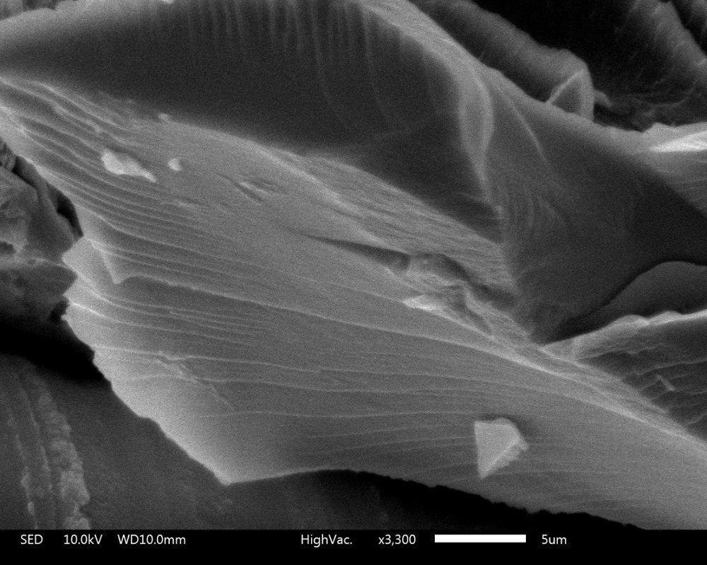 Image au microscope à balayage électronique qui révèle les feuillets supramoléculaires que nous croyons responsables de la conduction électrique dans les gels. © Olivier Galangau.