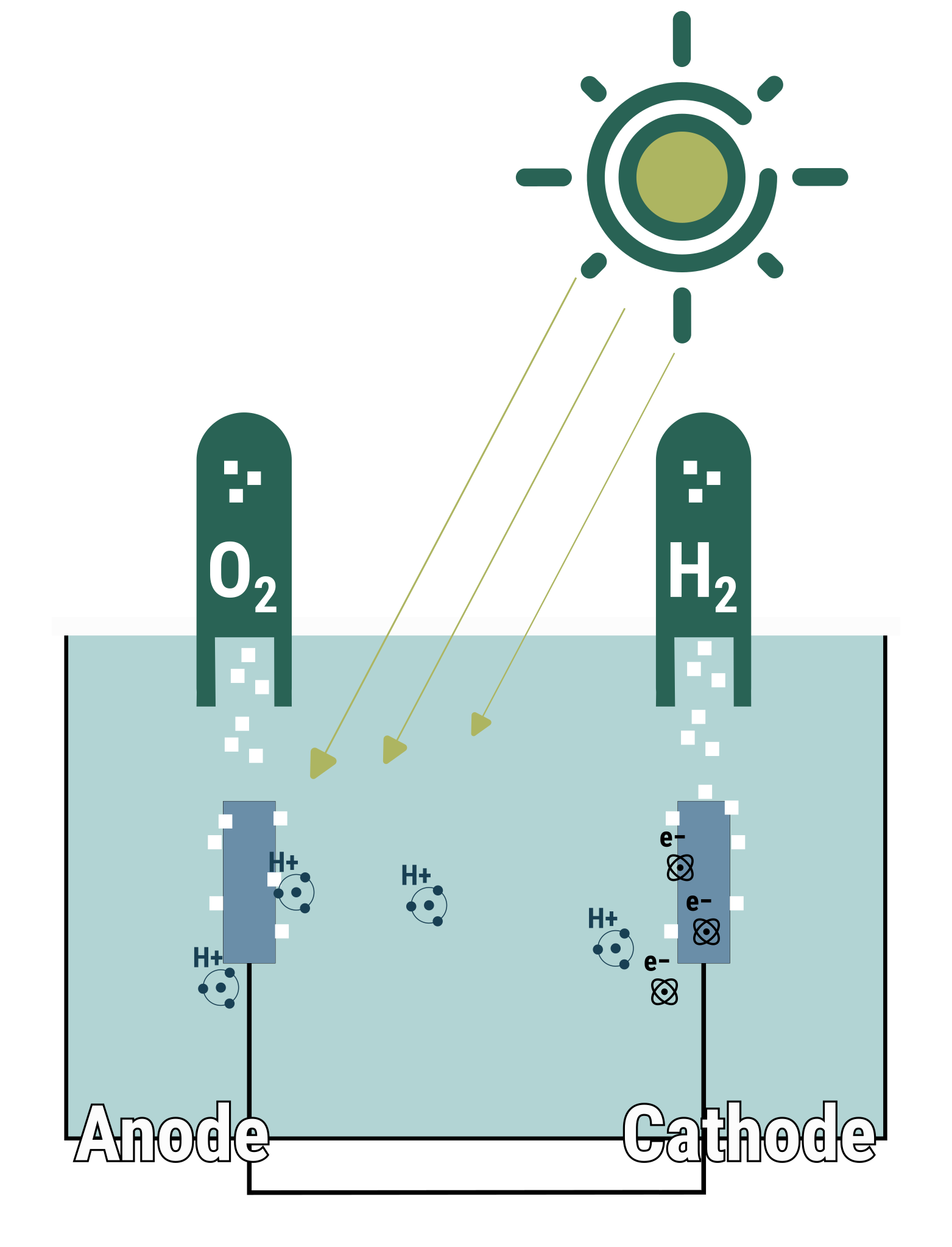 Le dispositif de photoélectrolyse de l’eau se compose de deux photoélectrodes (une photoanode, une photocathode) immergées dans un électrolyte (une substance conductrice) liquide. La photoanode va - en absorbant la lumière du soleil – faire s’échapper du dioxygène (O2) et libérer 4 ions hydrogène H+. Ces ions seront « transformés » de l'autre côté par la photocathode qui, également via l’absorption de la lumière, produira de l’hydrogène (H2), qu’il s’agit ensuite de capter et stocker. © S. Belaud