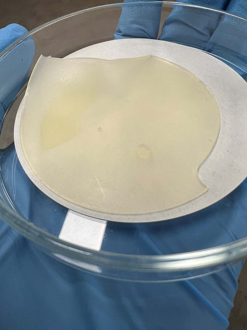 Membrane d’ionosilice avec liquide ionique confiné. © Shilpa Sharma.