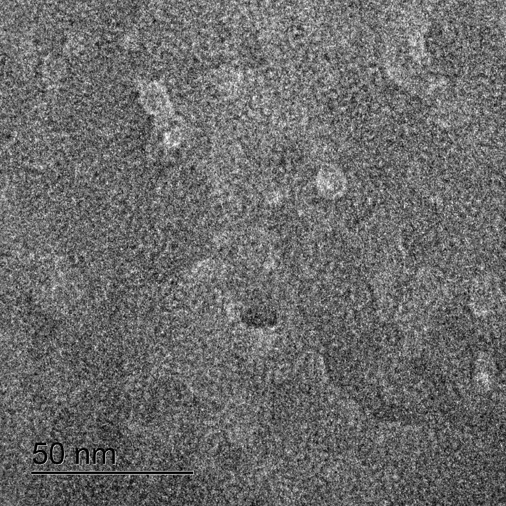 Image en microscopie électronique haute résolution d'une membrane d’ionosilice. © Erwan Oliviero (Plateforme MEA, Université de Montpellier).