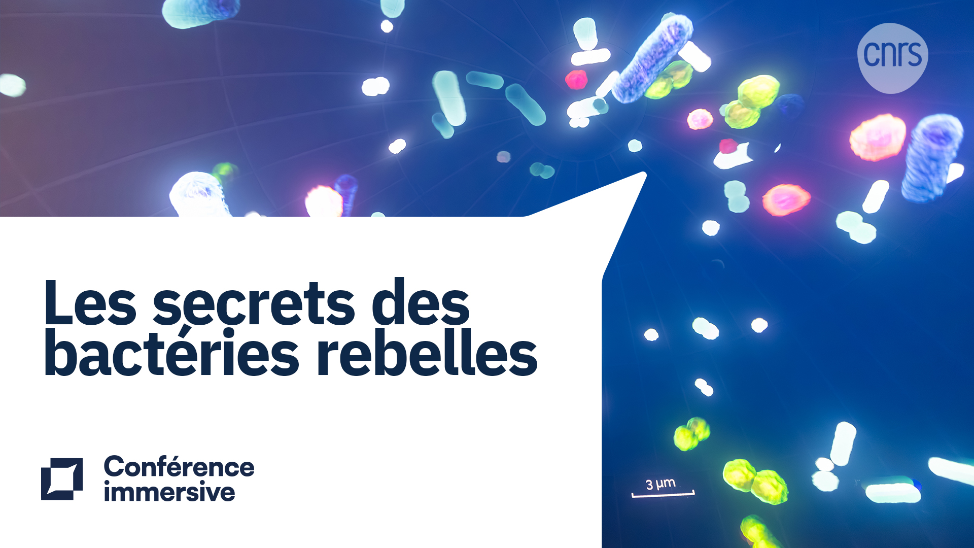 Illustration conf immersive MMSB