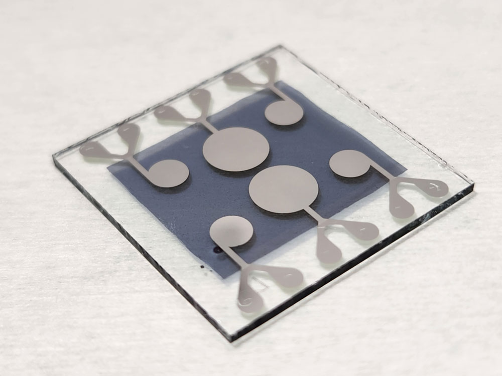 Photographie montrant un substrat sur lequel ont été fabriquées six cellules solaires de dimensions variées. Les zones actives des cellules sont délimitées par des motifs circulaires, permettant d’étudier l’influence de la taille des dispositifs sur leurs performances.