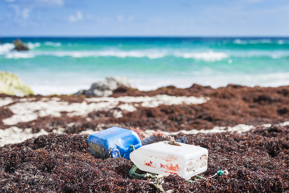 Déchets plastiques sur la plage des Rouleaux dans la baie Sainte-Marie en Guadeloupe © Cyril Frésillon / PEPSEA / CNRS Images
