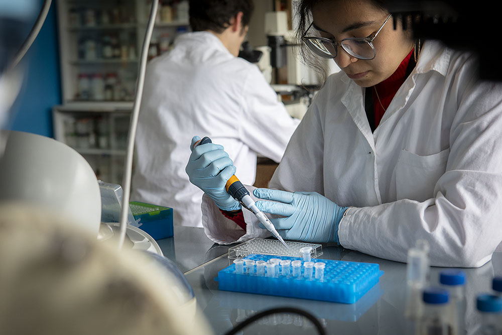 Une femme munie de gants dépose des protéines sur des plaques fermées hermétiquement.