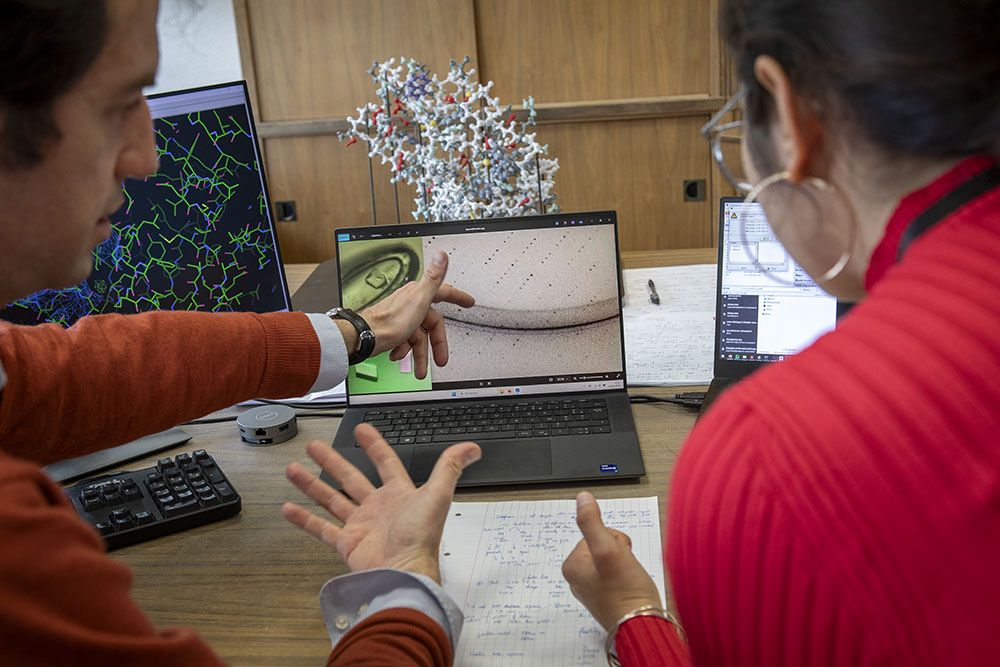 Analyse des images de diffraction de la structure de la protéine.
