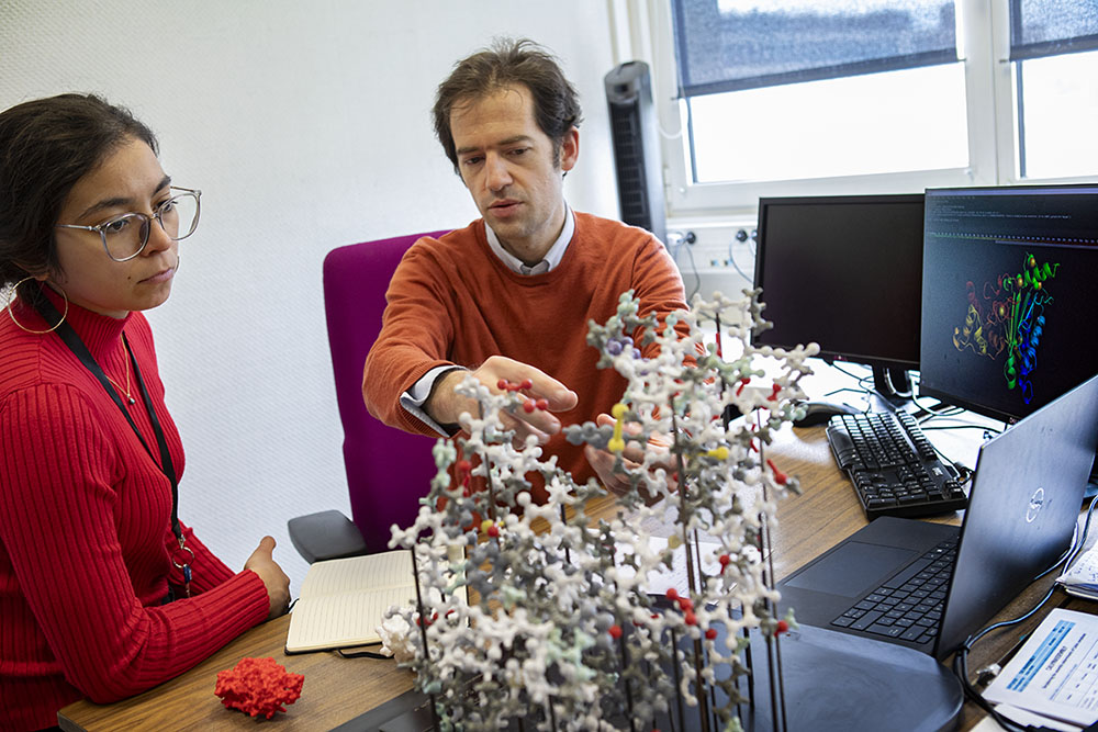 Impression de la structure 3D d'une protéine.