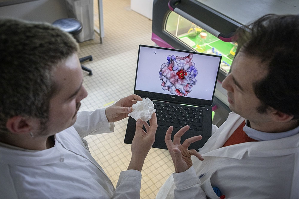 Modélisation numérique et impression 3D d’une protéine.