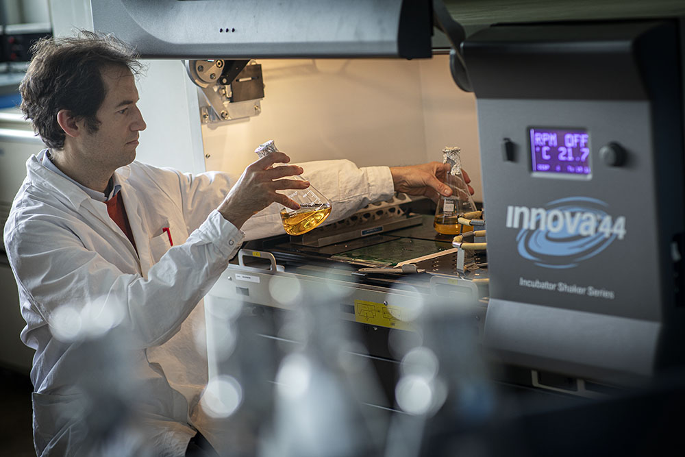 Culture liquide des bactéries.