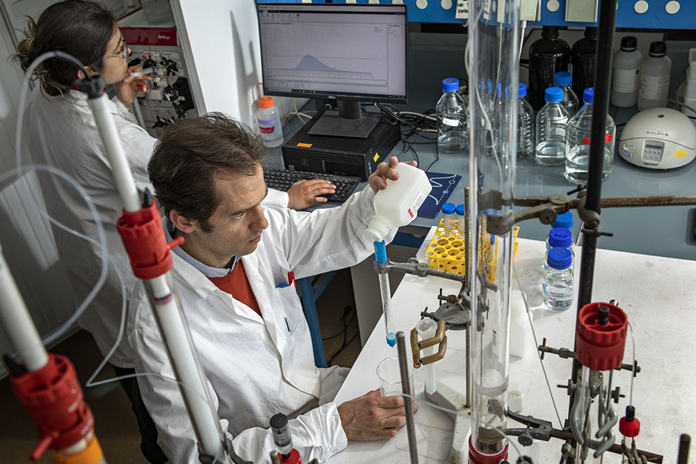 Purification des protéines.