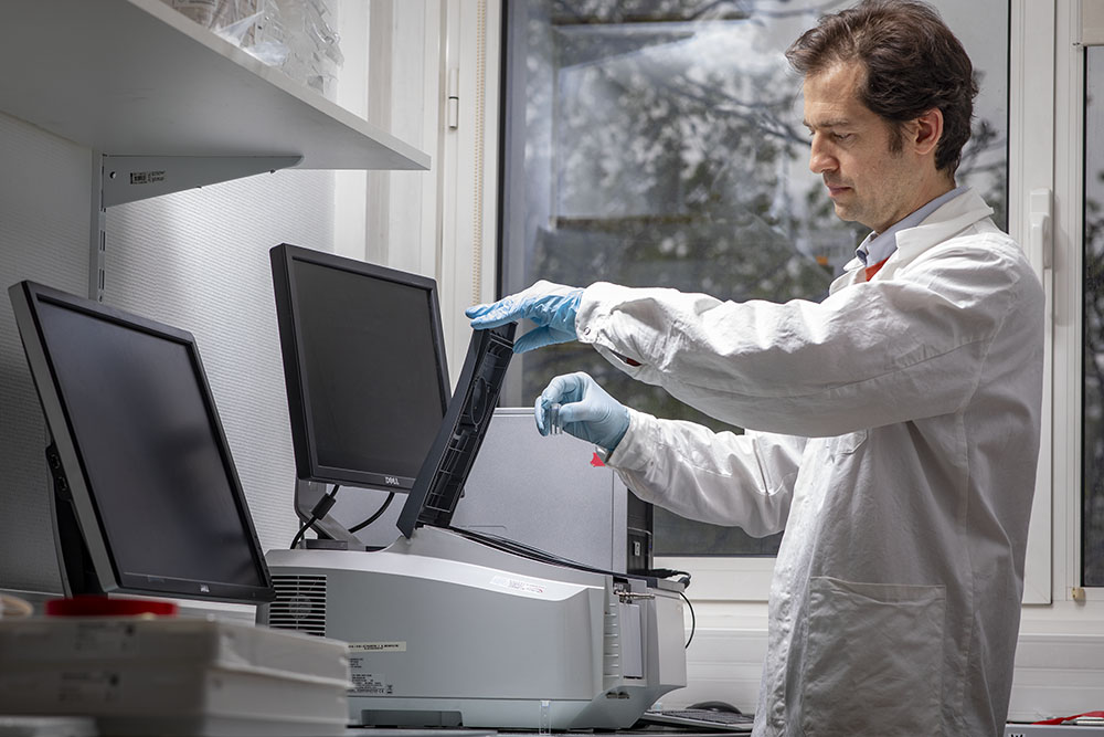 Quantification des protéines par spectrophotométrie.