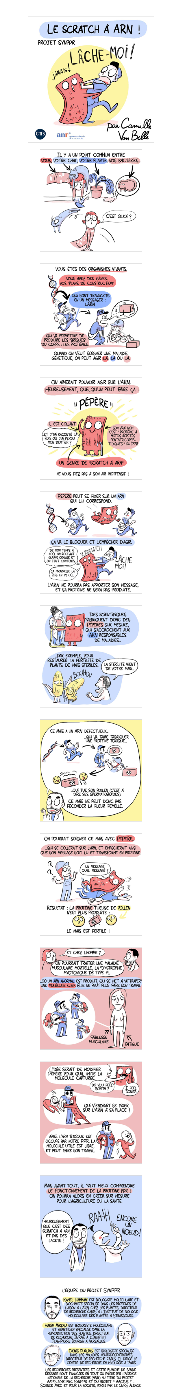 SynPPR, le scratch à ARN - Camille Van Belle pour le CNRS Alsace
