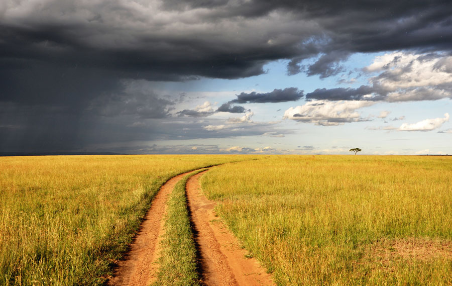 Un chemin à travers champ au Kenya