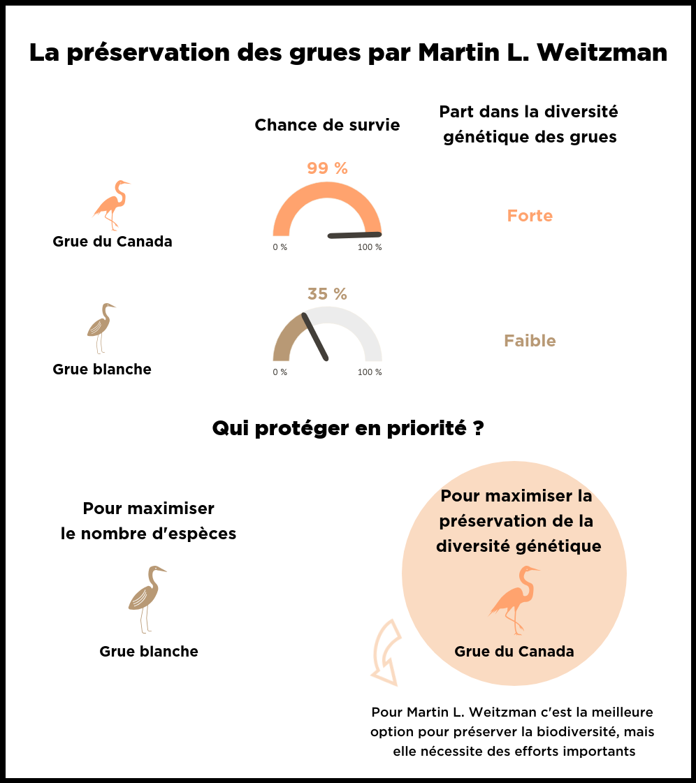 infographie sur la préservation des grues par Martin L. Weitzman