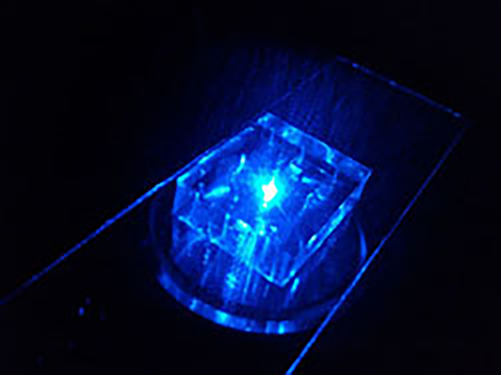 Puce en PDMS sous la lumière d’excitation bleu (480 nm) © Joelle Eid 