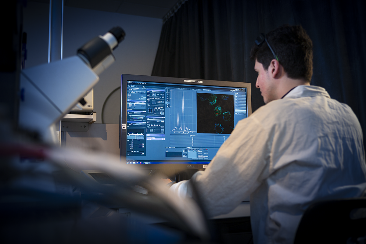 Analyse des données de microscopie de cellules incubées avec des sondes luminescentes © Christian Morel / LCBM / CNRS Images