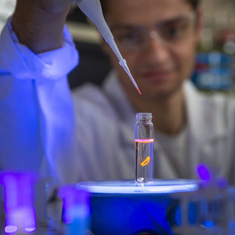 Dilution d'une sonde luminescente dans une solution aqueuse au pH neutre sous éclairage UV 