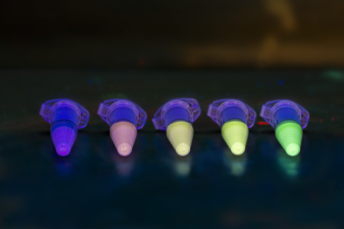 Observation sous éclairage UV de la fluorescence de différentes solutions contenant des fluorophores © Christian Morel / LCBM / CNRS Images