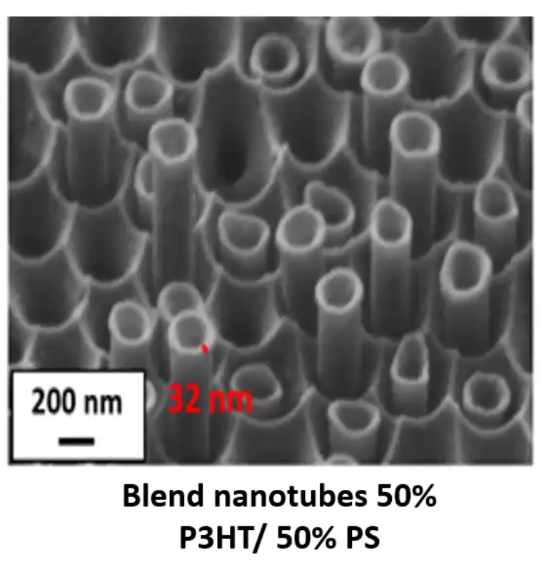 Image par microscopie électronique des dépôts de polymères déposés sur l’intérieur de la face des nanotubes. Après dépôt, la matrice d’aluminium sur laquelle les polymères ont été appliqués a été abrasée. Ce sont donc juste les dépôts de polymères (en forme de tube) que l’on voit ici. 