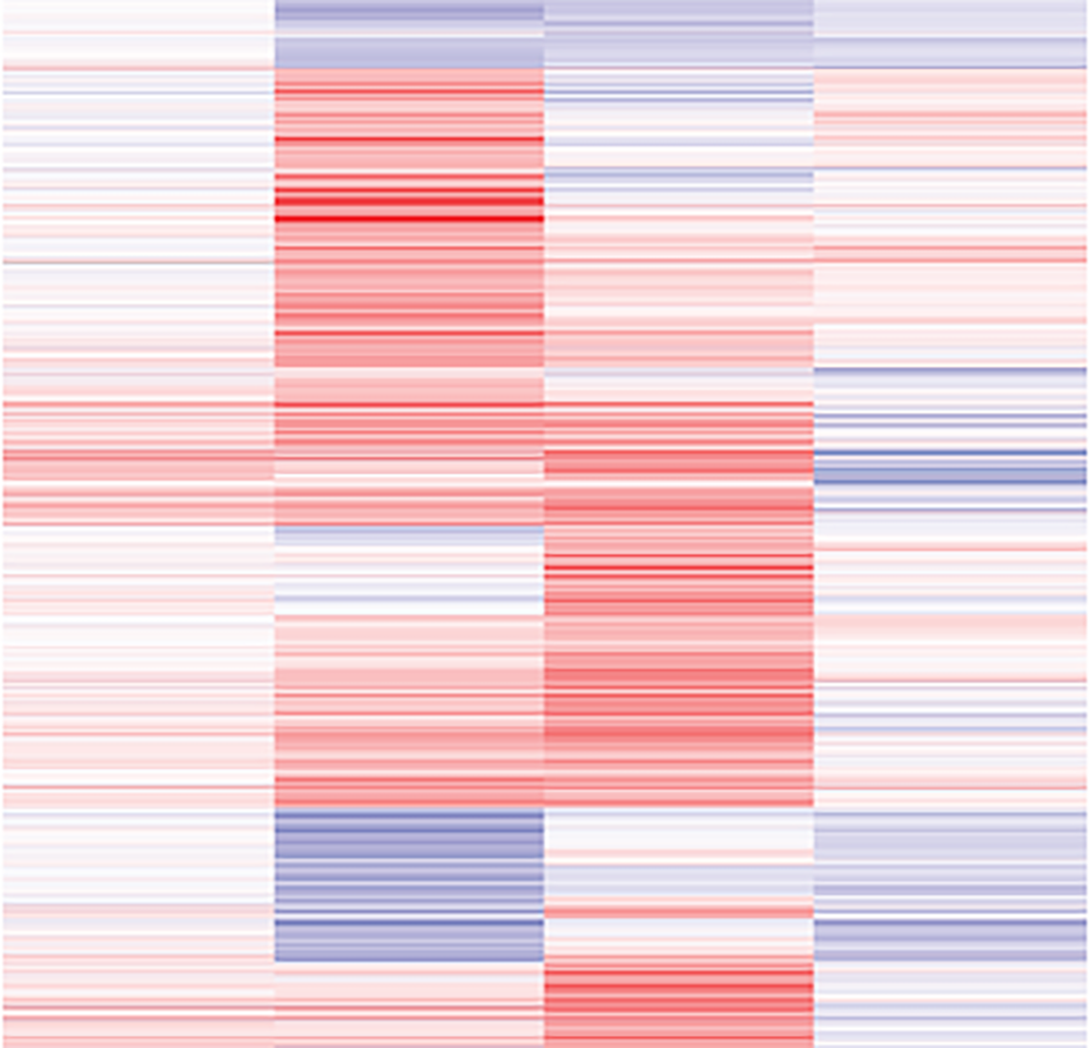 Représentation graphique de l’effet d’une perte de SAGA sur le niveau de transcription de plusieurs centaines de gènes. Chaque colonne montre une condition expérimentale différente et chaque ligne montre le niveau d’un ARN, coloré selon que celui-ci augmente (rouge), baisse (bleu) ou ne change pas (blanc). © Dom Helmlinger
