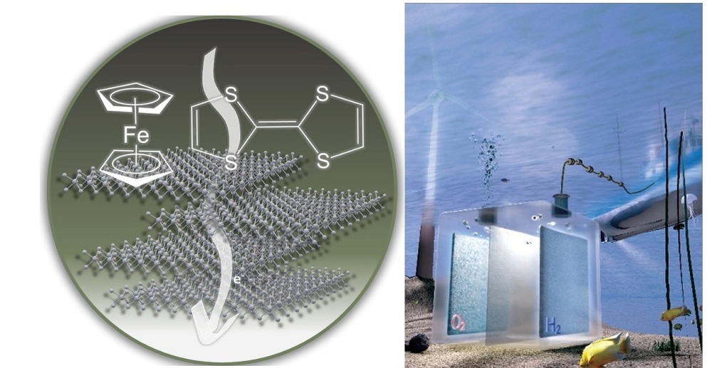 © American Chemical Society.